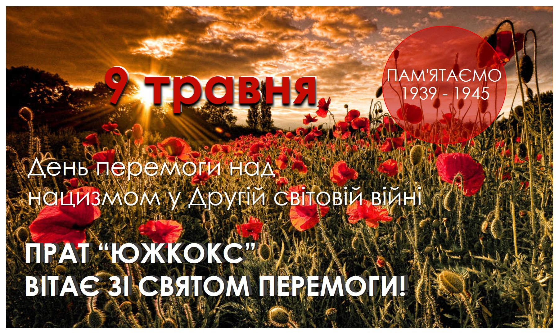 открытка 9 мая