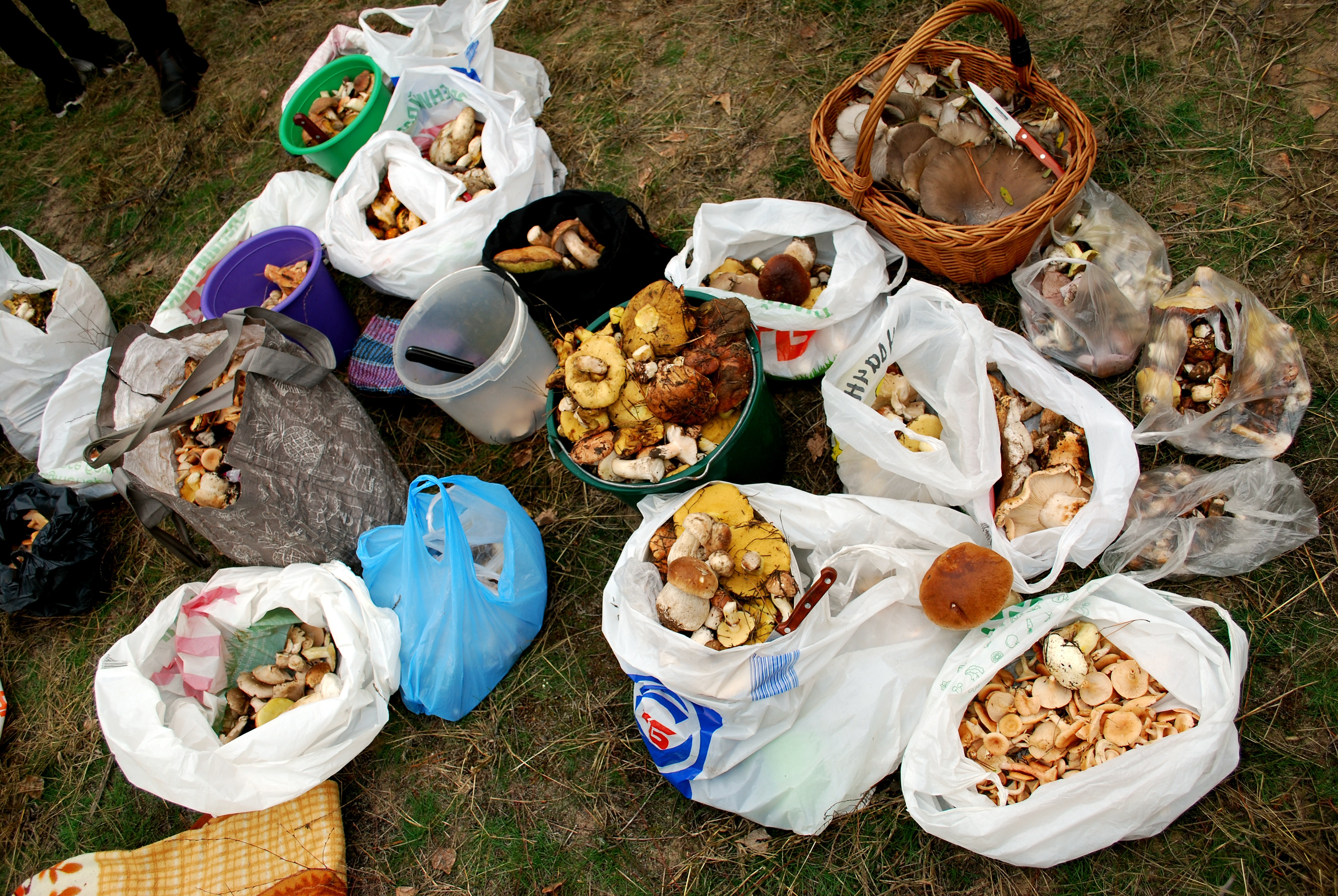 тихая охота 2